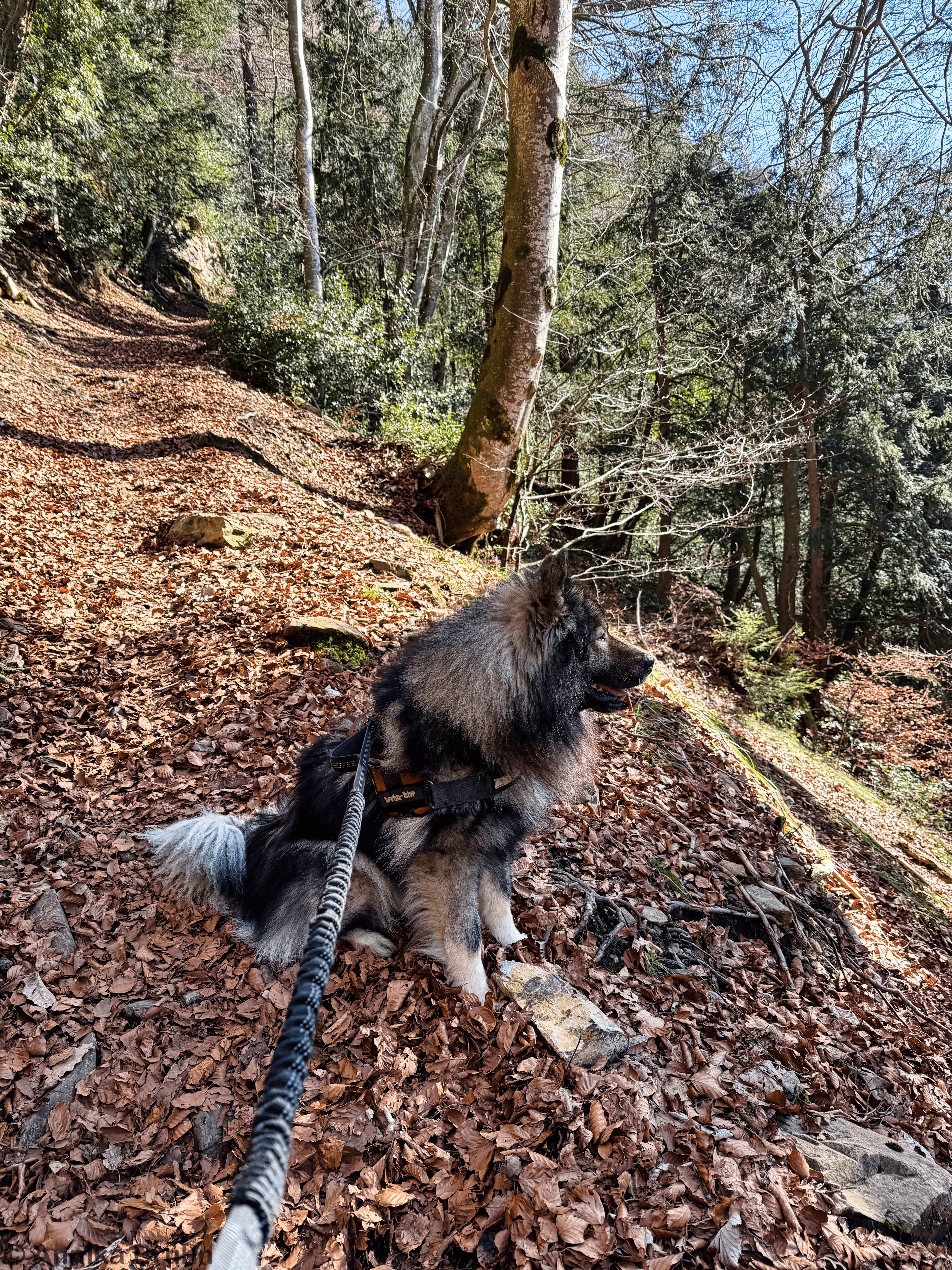 kleine Pause